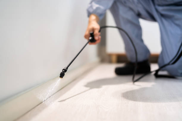 Licensed Mosquito Control service in South Amboy, NJ - Nex Pest Control