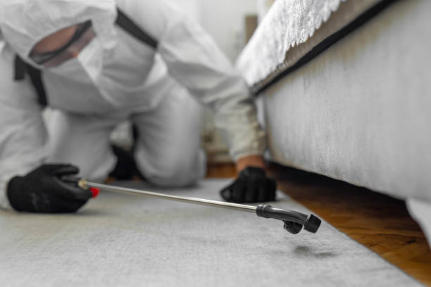 Professional Mosquito Control technician working in South Amboy, NJ