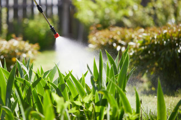 24/7 Emergency Mosquito Control experts in South Amboy, NJ