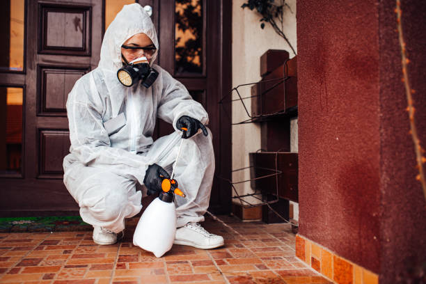 Reliable Mosquito Control contractor in South Amboy, NJ by Nex Pest Control